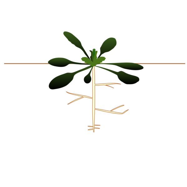 1345600206  2  Thumbnail