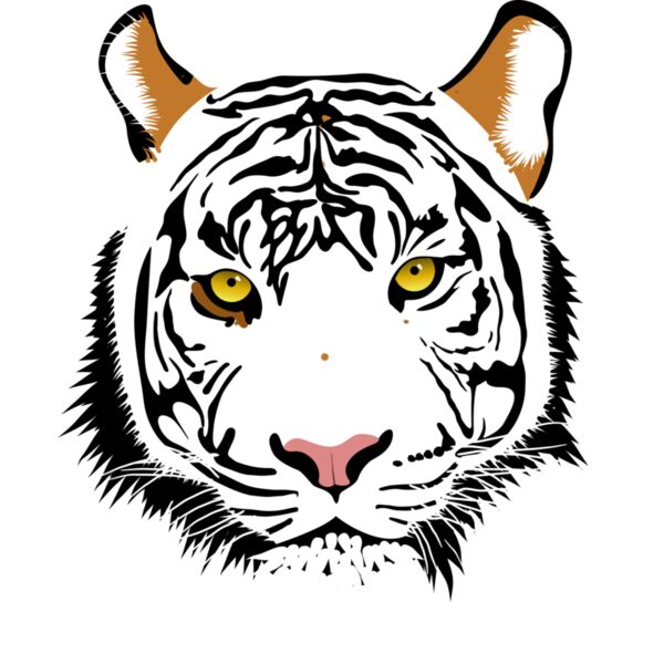 044482e2  2  Thumbnail