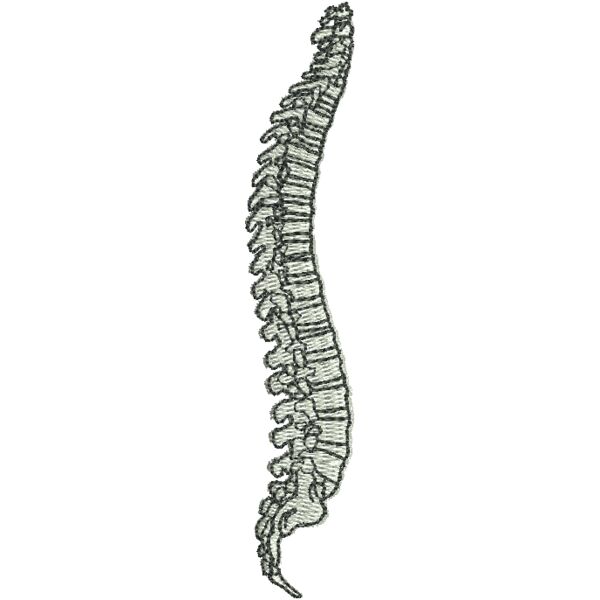 Spine Thumbnail