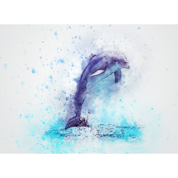 dolphin 2329165 Thumbnail