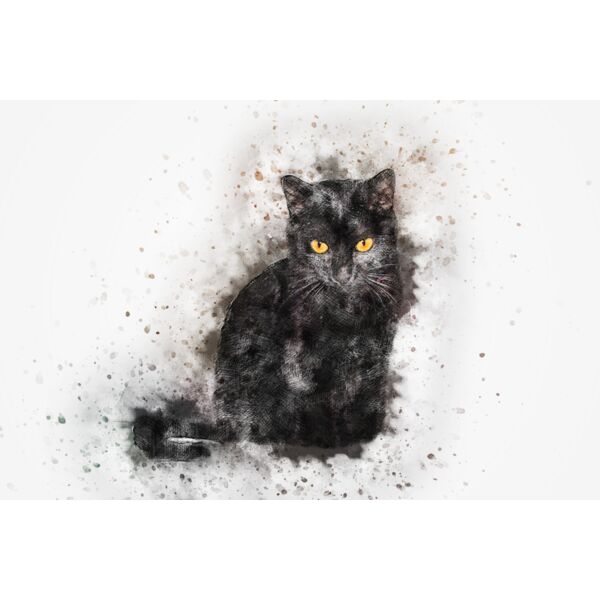 cat 2427178 Thumbnail