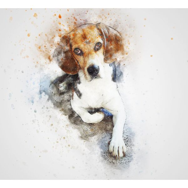 dog 2737263 Thumbnail