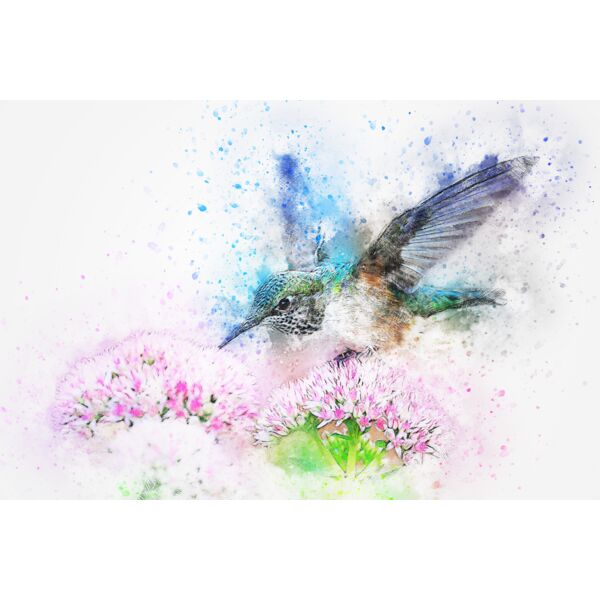 bird 2573779 Thumbnail