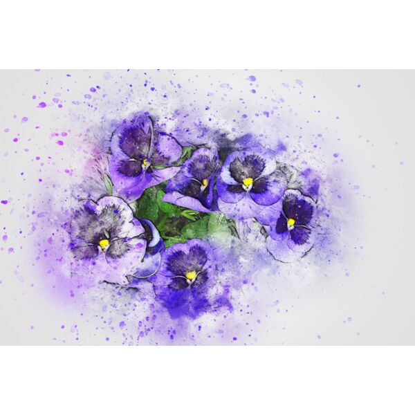 flower 2541935 Thumbnail