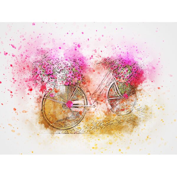 bicycle 2329076 Thumbnail