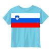 Toddler 5.5 oz. Jersey Short-Sleeve T-Shirt Thumbnail