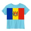 Toddler 5.5 oz. Jersey Short-Sleeve T-Shirt Thumbnail
