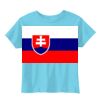 Toddler 5.5 oz. Jersey Short-Sleeve T-Shirt Thumbnail