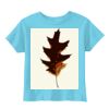 Toddler 5.5 oz. Jersey Short-Sleeve T-Shirt Thumbnail