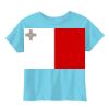 Toddler 5.5 oz. Jersey Short-Sleeve T-Shirt Thumbnail