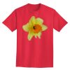 Ultra Cotton® Tall 6 oz. Short-Sleeve T-Shirt Thumbnail