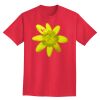Ultra Cotton® Tall 6 oz. Short-Sleeve T-Shirt Thumbnail